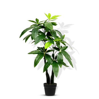 Elegance Pachira Aquatica 80CM - Artificial Plant